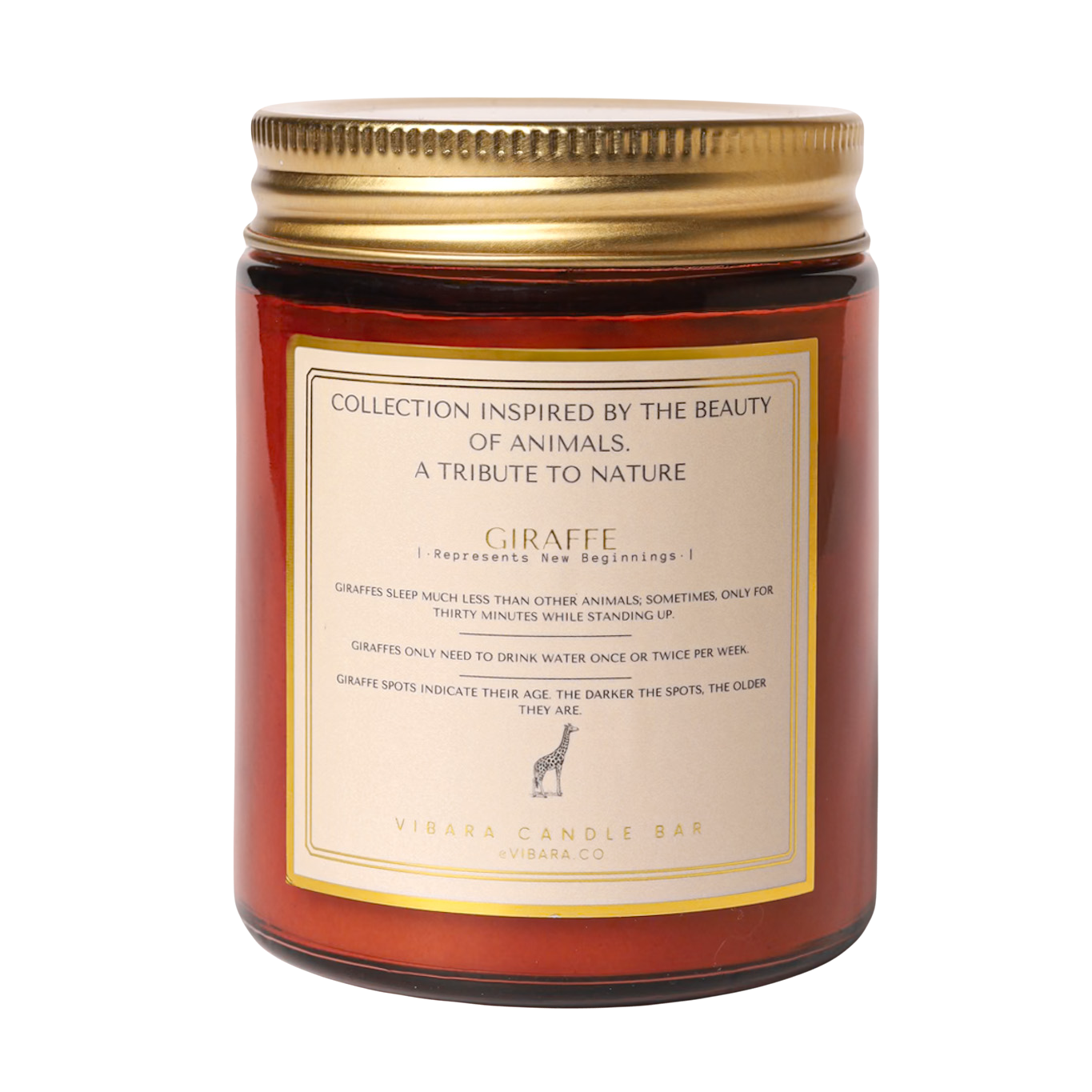 Giraffe - Amber Chocolate Candle