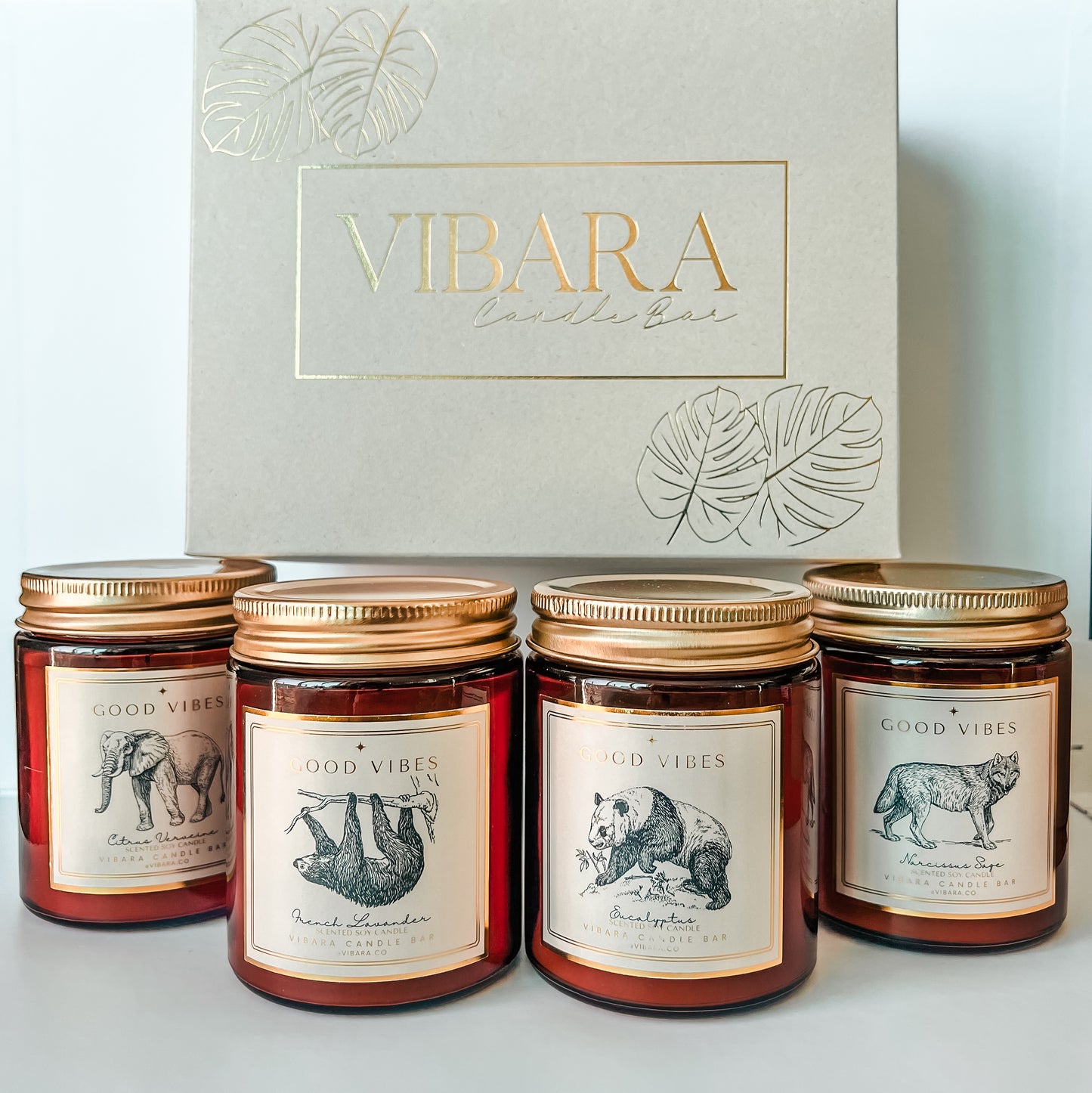 Vibara Gift Box (4 pack)