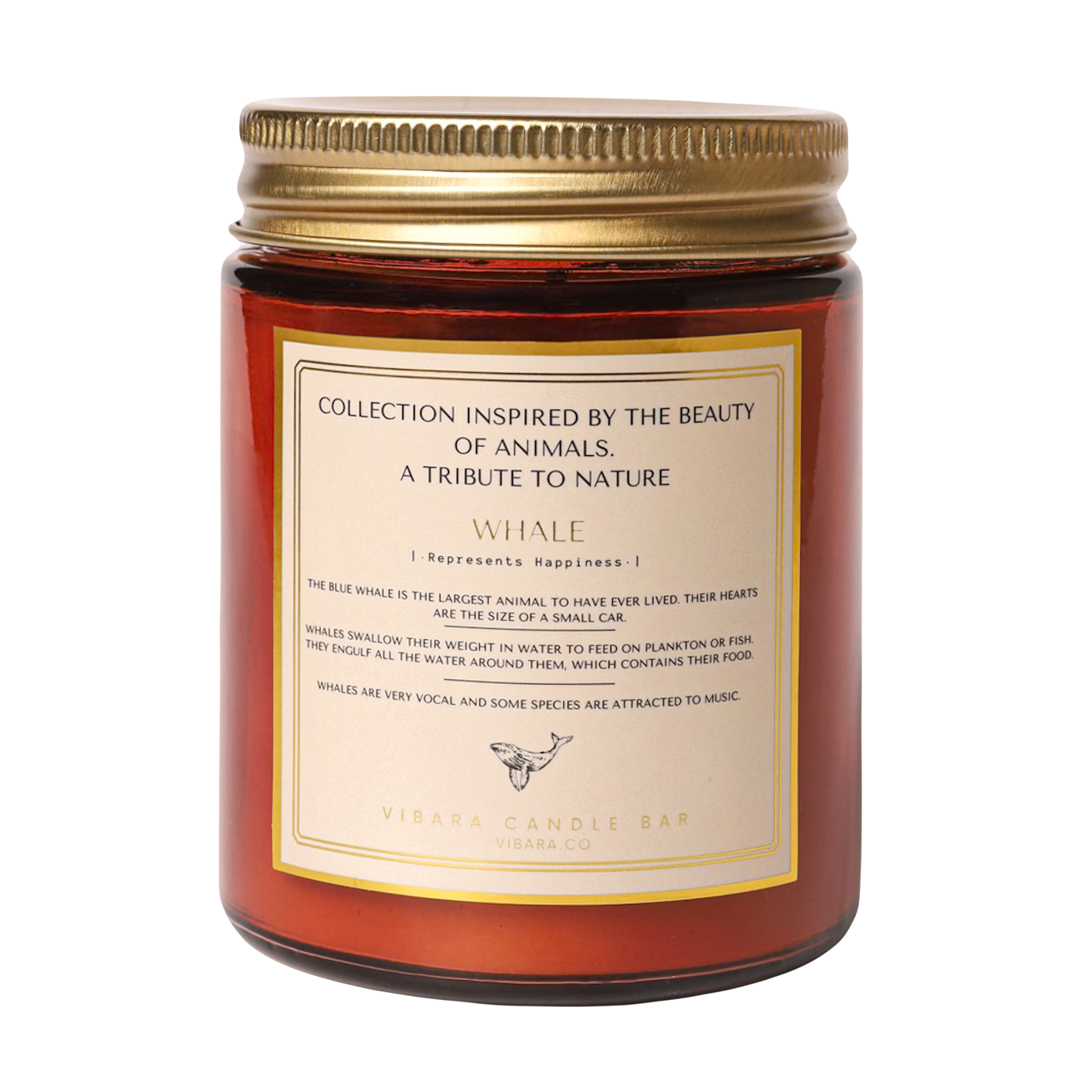 Whale - Coconut Vanilla Candle